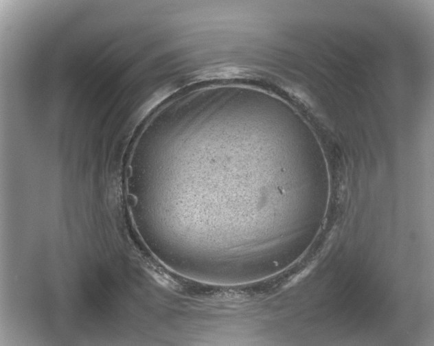 X0000062131073200512121209