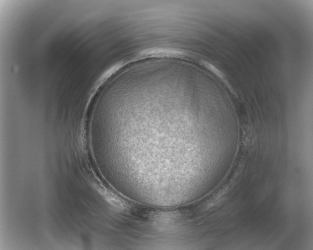 X0000062131074200512121209