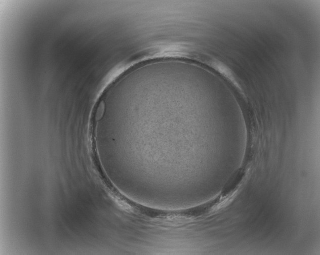 X0000062131077200512121209