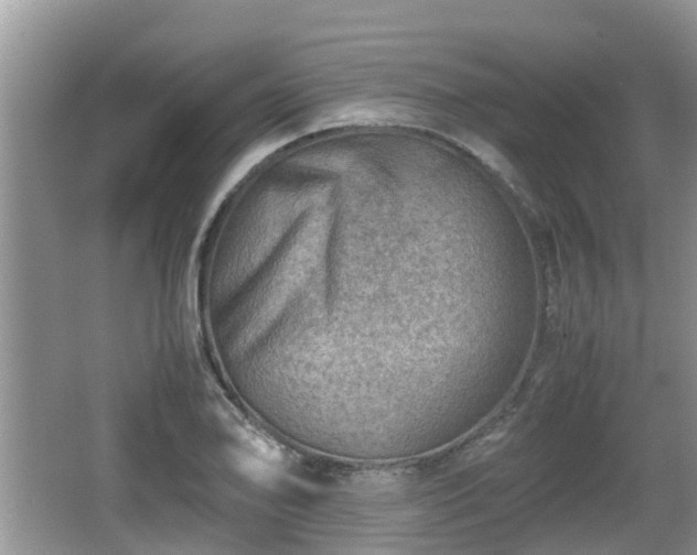 X0000062131078200512121209