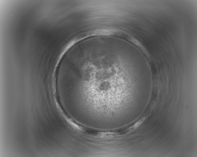 X0000062131083200512121209