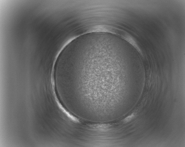 X0000062131084200512121209