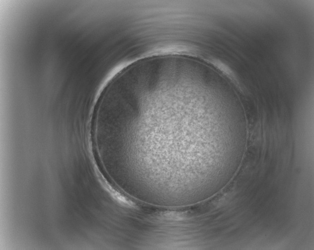 X0000062131086200512121209