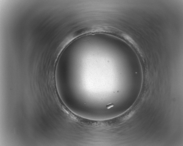 X0000062131089200512121209