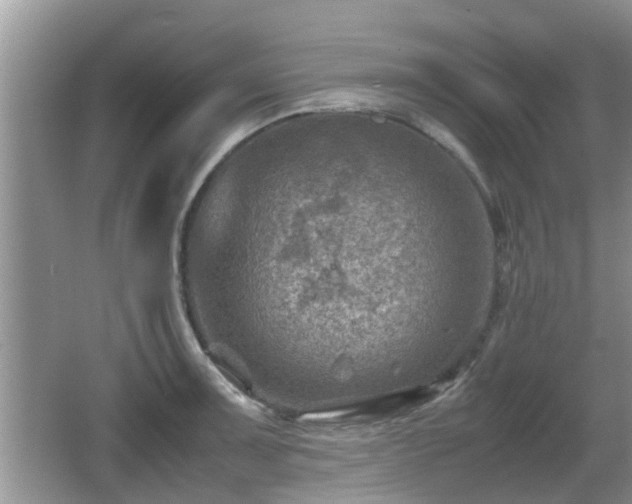 X0000062131091200512121209