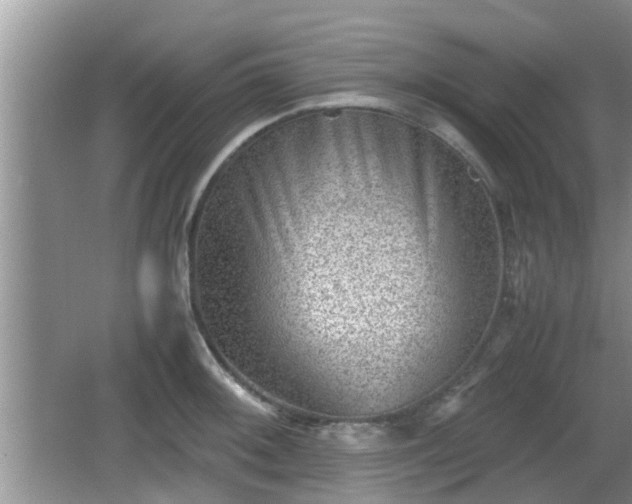 X0000062131092200512121209