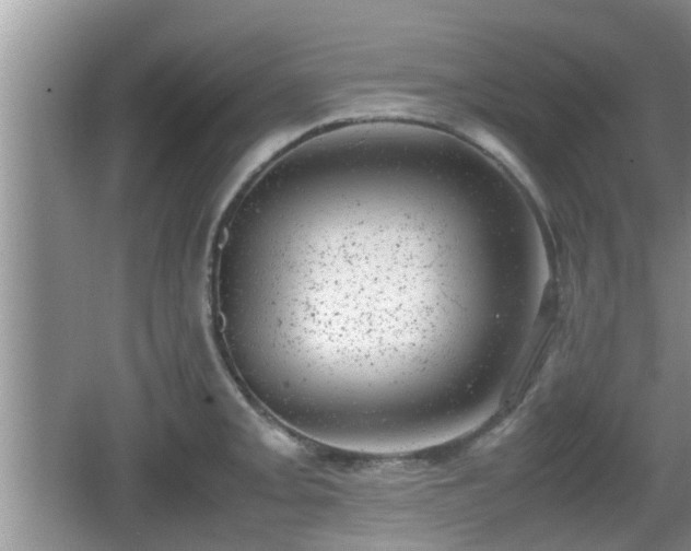 X0000062131093200512121209