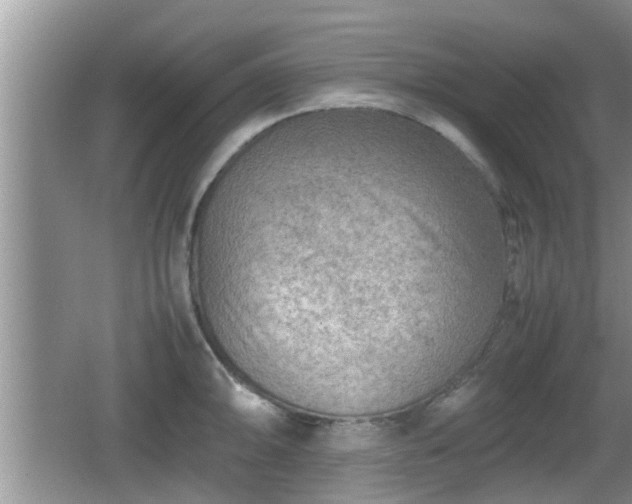 X0000062131094200512121209