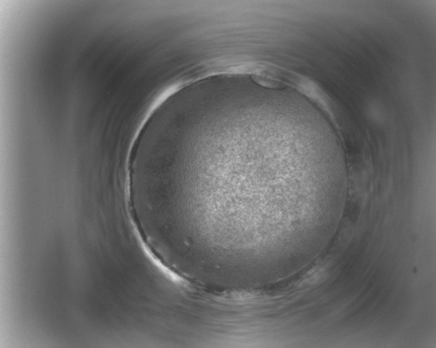 X0000062131095200512121209