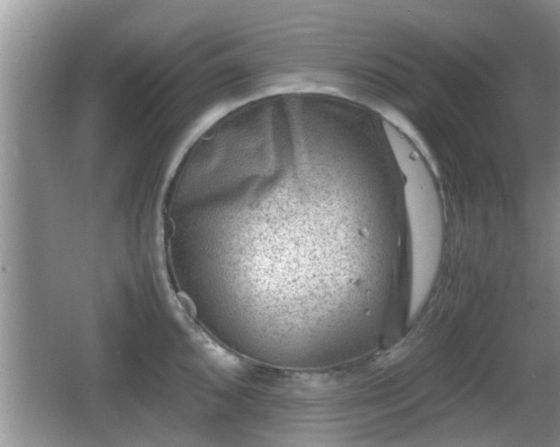 X0000062131096200512121209