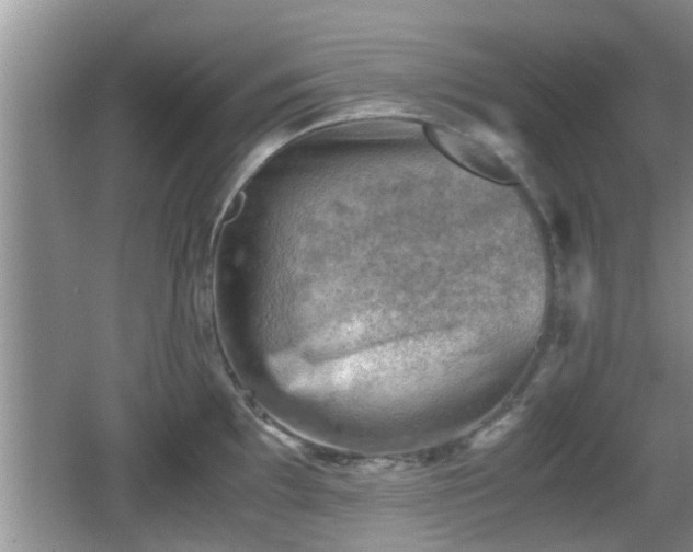 X0000062131097200512121209