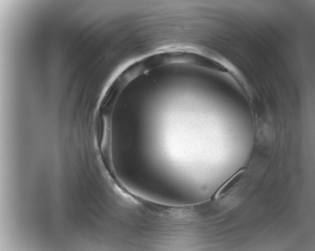 X0000062131102200512121209