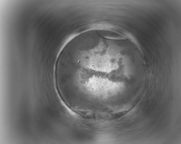 X0000062131103200512121209