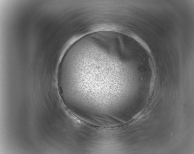 X0000062131104200512121209