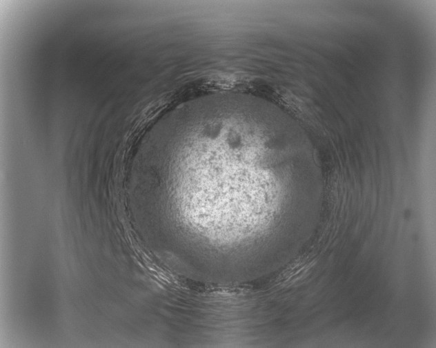 X0000062131105200512121208