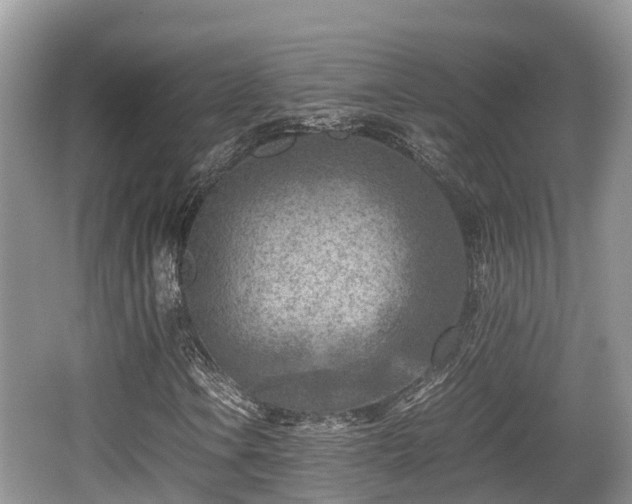 X0000062131106200512121208