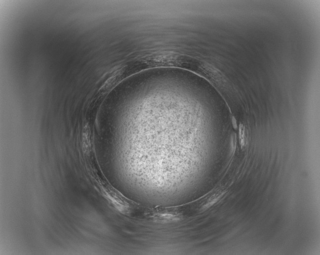 X0000062131107200512121208