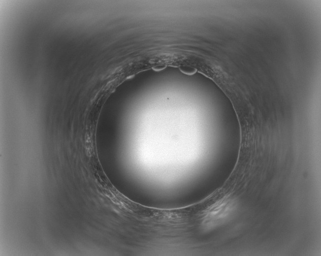 X0000062131109200512121208