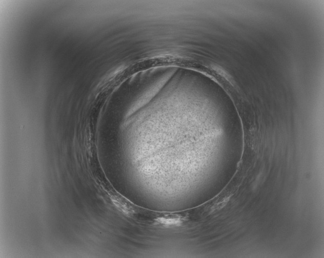 X0000062131111200512121208