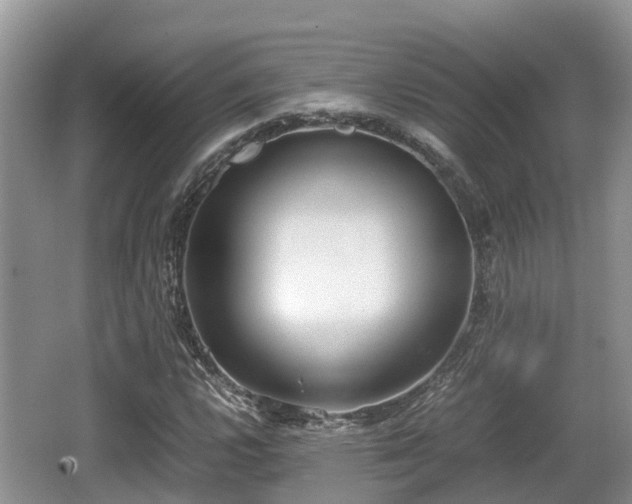 X0000062131112200512121208