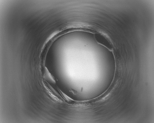 X0000062131114200512121208