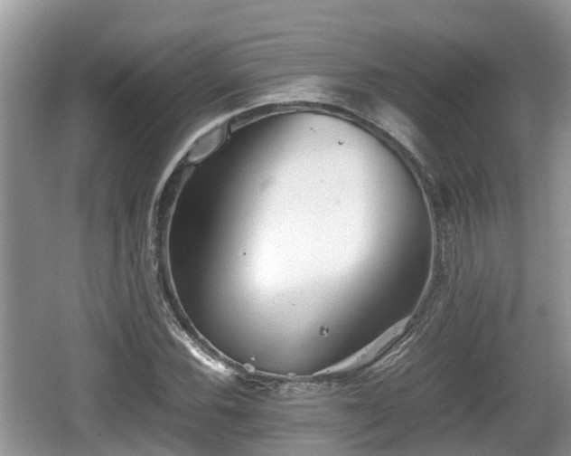 X0000062131116200512121208