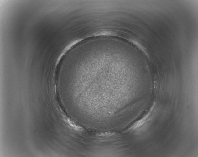 X0000062131117200512121208