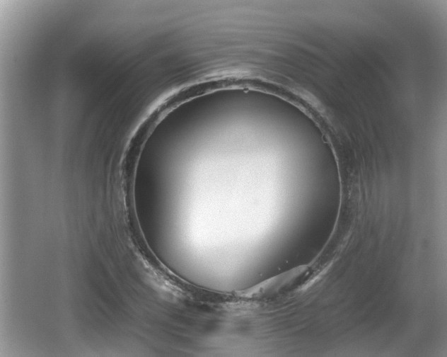 X0000062131118200512121208