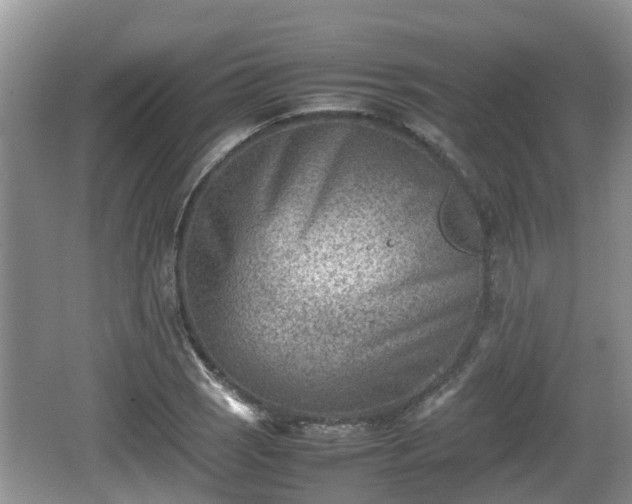 X0000062131121200512121208