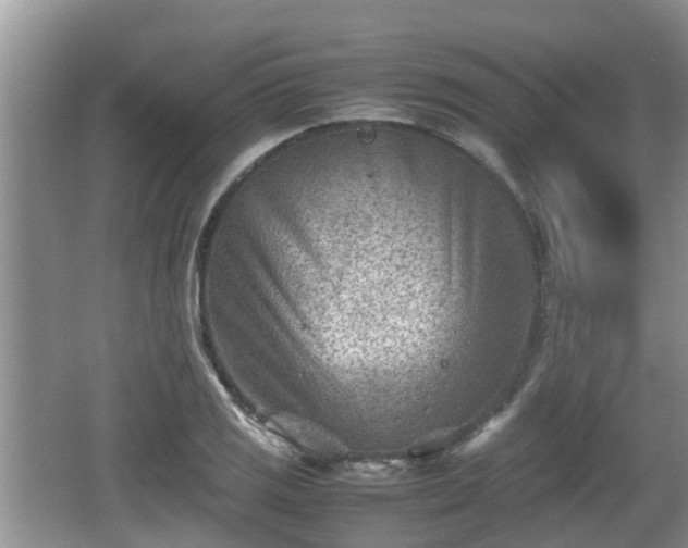 X0000062131125200512121208