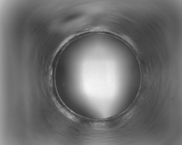 X0000062131126200512121208