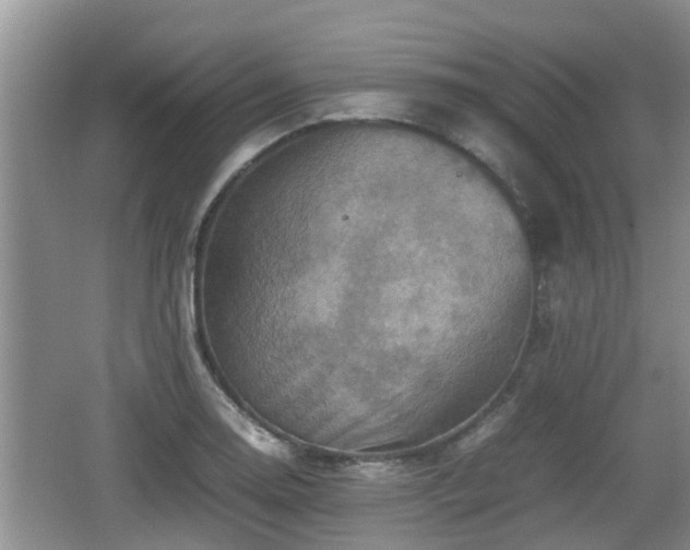 X0000062131130200512121208