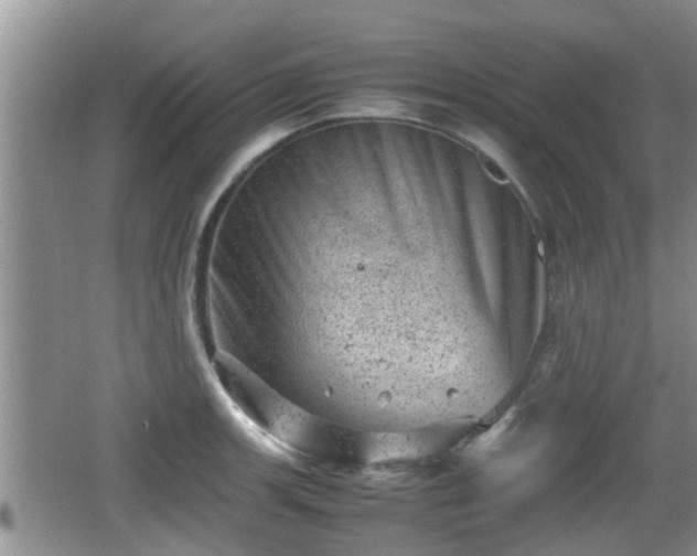 X0000062131139200512121209