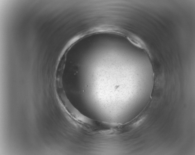 X0000062131146200512121209