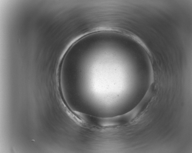 X0000062131148200512121209