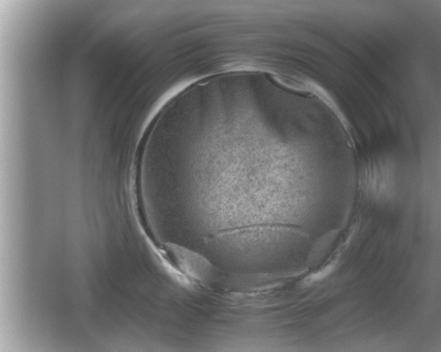 X0000062131149200512121209