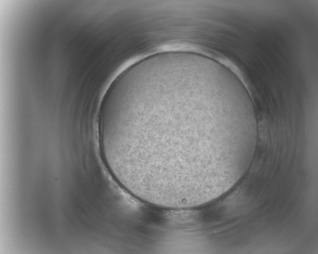 X0000062131150200512121209