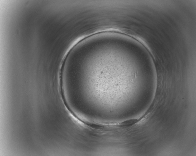 X0000062131151200512121209