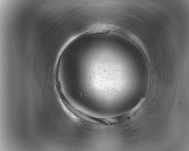 X0000062131152200512121209