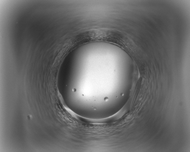 X0000062131153200512121208