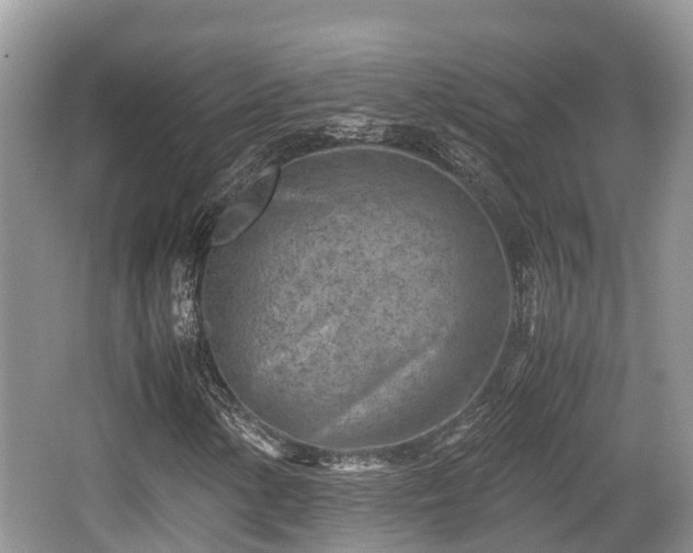 X0000062131154200512121208