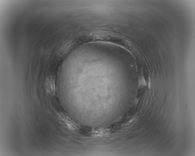 X0000062131155200512121208