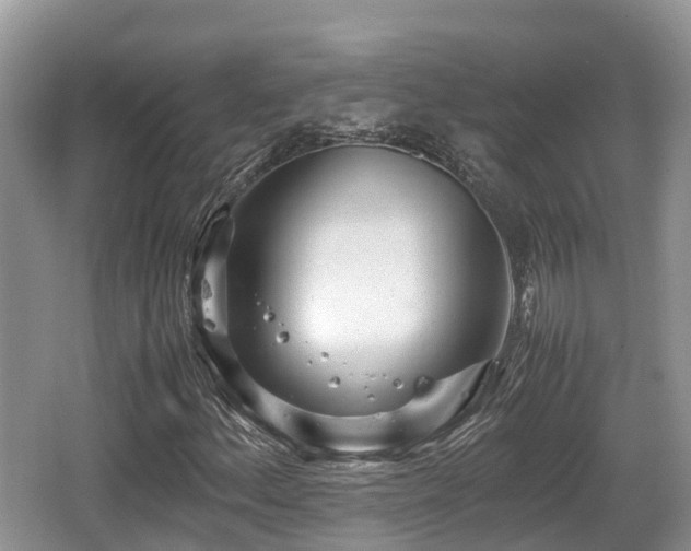 X0000062131156200512121208