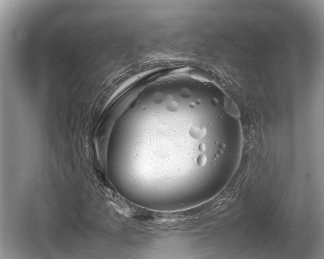 X0000062131157200512121208