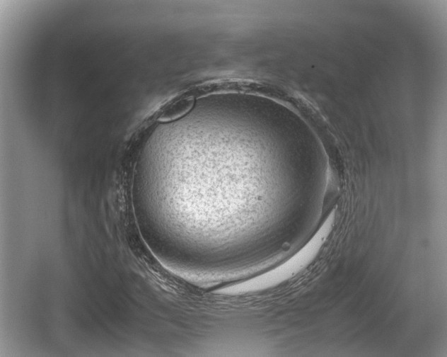 X0000062131159200512121208