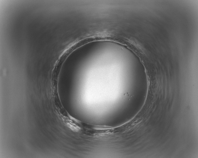 X0000062131160200512121208