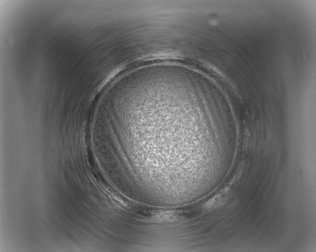 X0000062131162200512121208