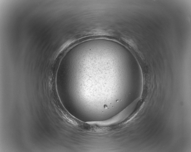 X0000062131163200512121208