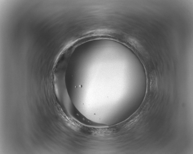 X0000062131164200512121208