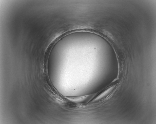 X0000062131165200512121208